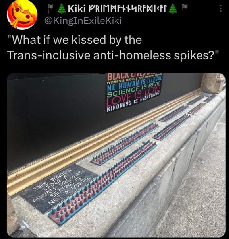 @KingInExileKiki "What if we kissed the Trans-inclusive anti-homeless spikes?" С