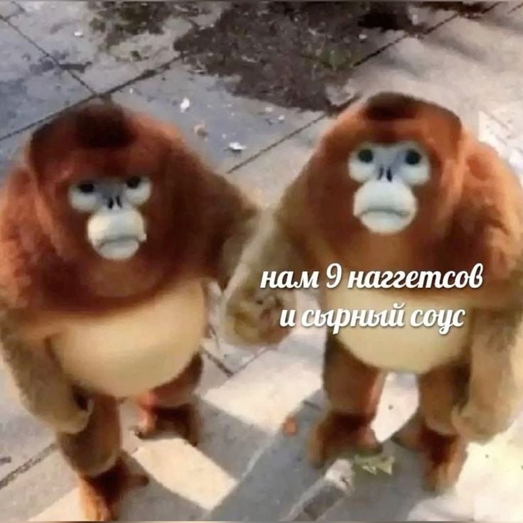 это мы с павлой в течение 6-7 рабочих дней