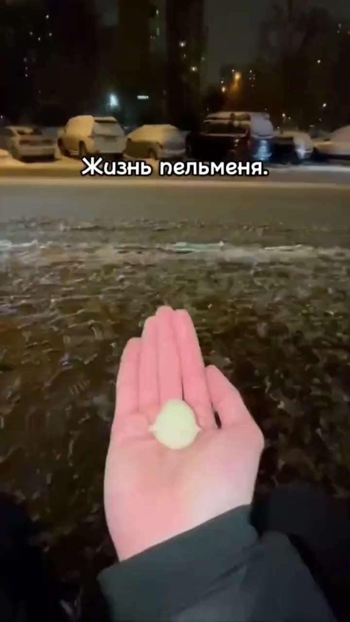Жазнь пельменя. Жазныпельменя!