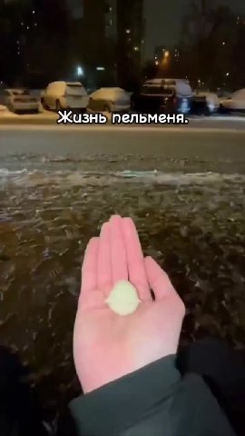 Жазнь пельменя. Жазныпельменя!