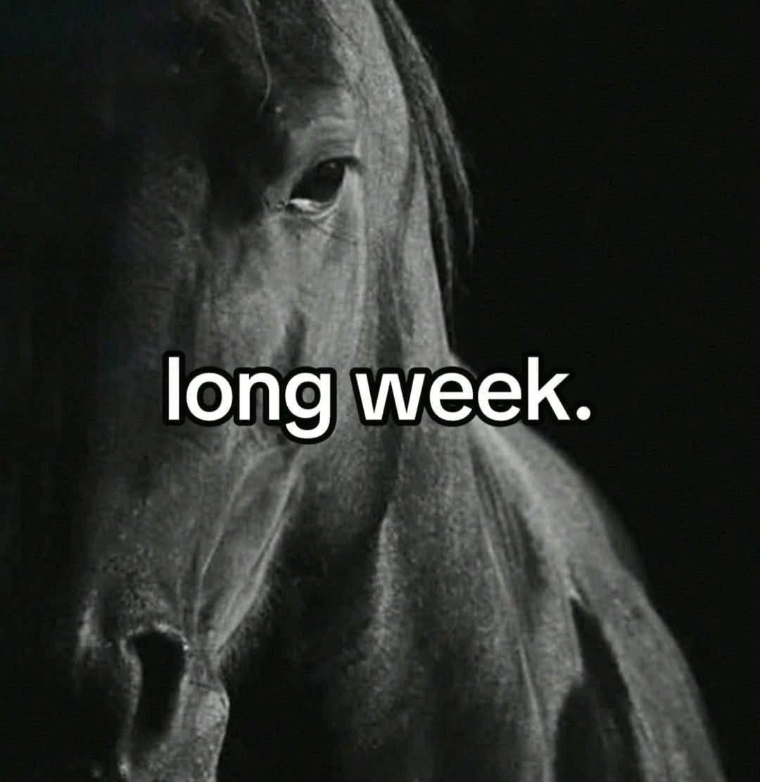 long week.