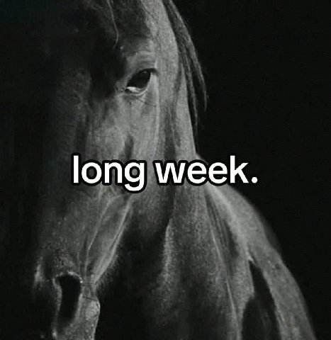long week.