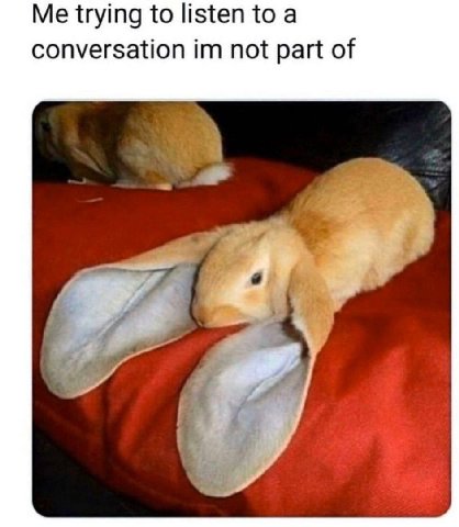 Me trying to listen to a conversation not part of