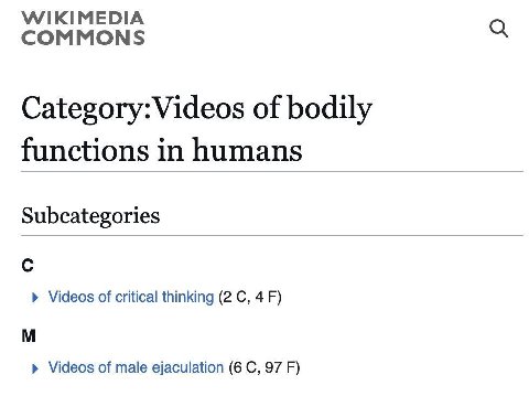 WIKIMEDIA COMMONS Category:Videos of bodily functions in humans Subcategories С Videos of critical thinking (2 С, 4 Videos of male ejaculation (6 С, 97