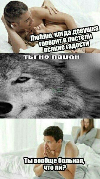 4 кот Ты вообще больная, что