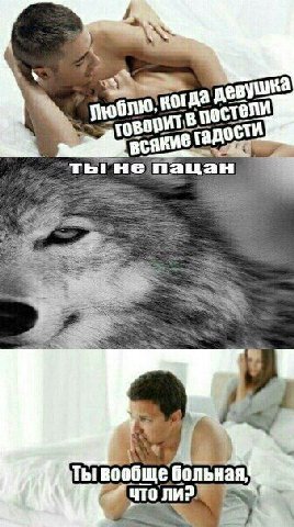 4 кот Ты вообще больная, что
