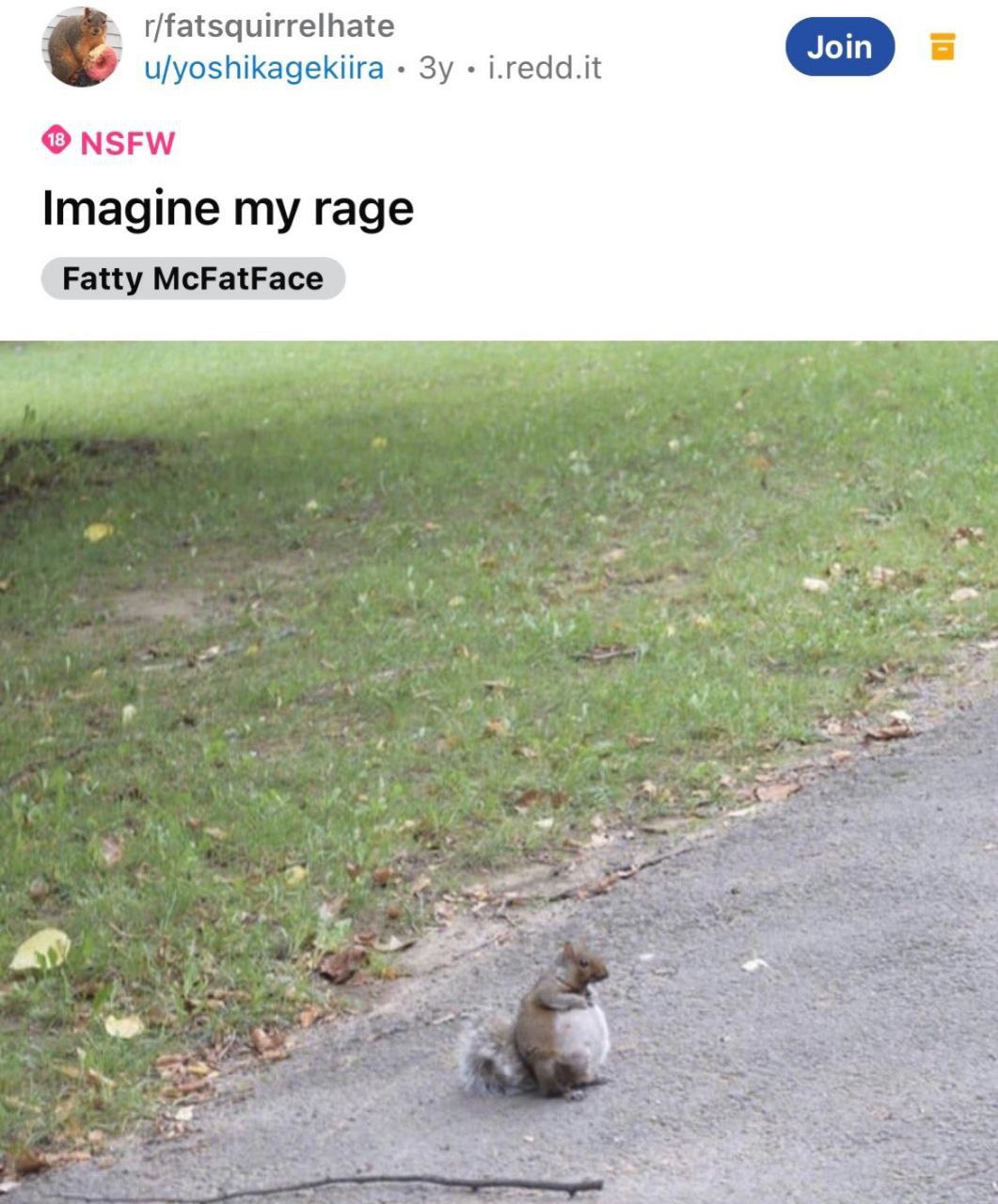 u/yoshikagekiira i.redd.it NSFW Imagine my rage Fatty McFatFace