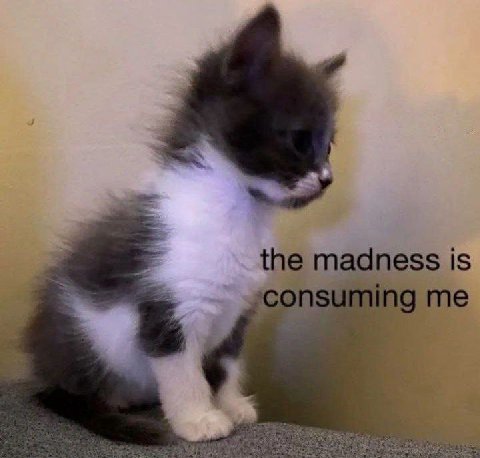 the ness is