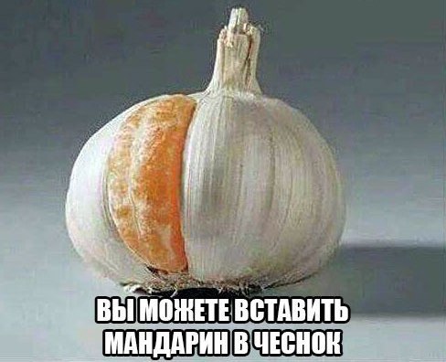 ВЫ ВСТАВИТЬ В ЧЕСНОК