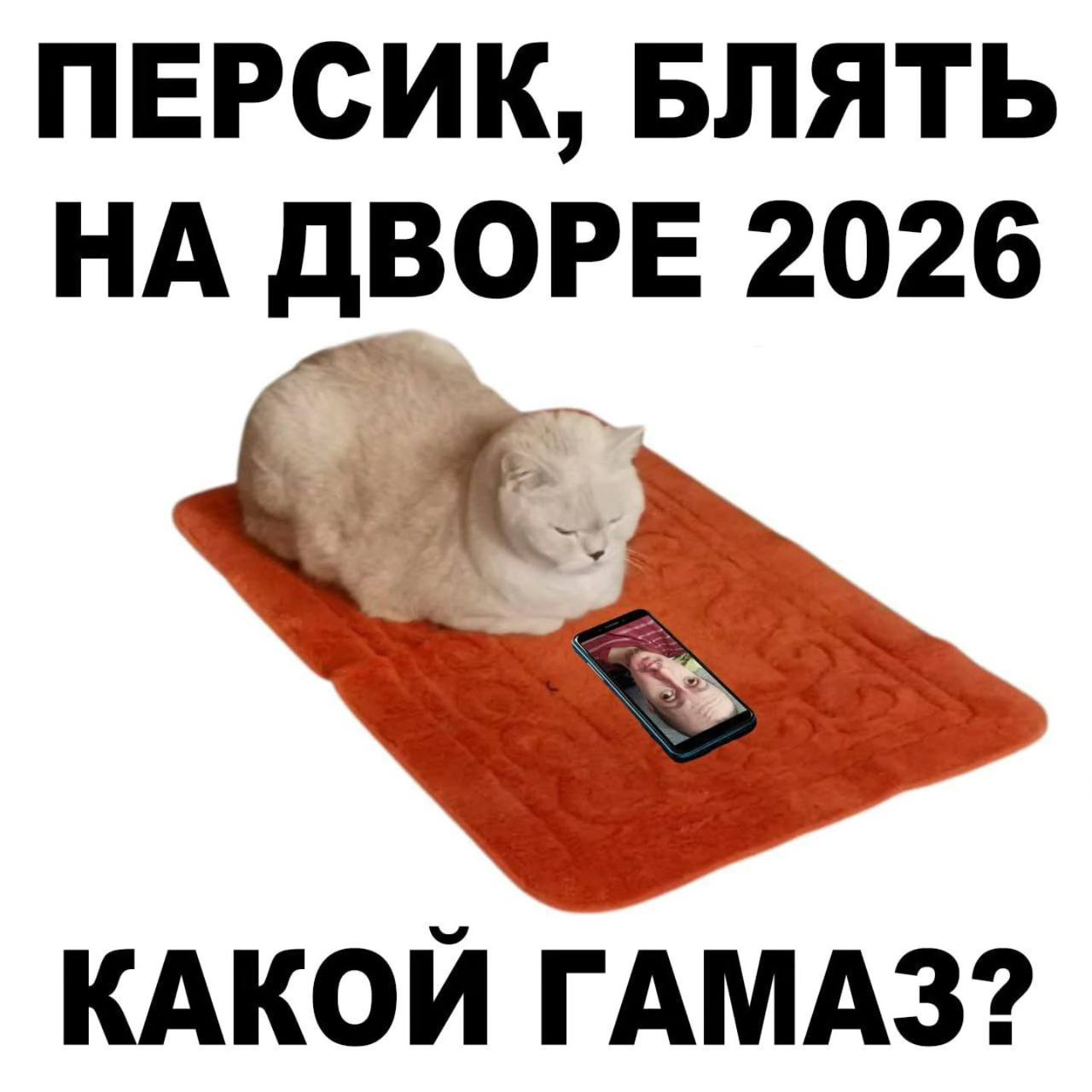 ПЕРСИК, БЛЯТЬ НА ДВОРЕ 2026 КАКОЙ ГАМАЗ?
