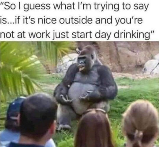 "So guess what trying to say is...if it's nice outside and not at work just start day drinking” Sed