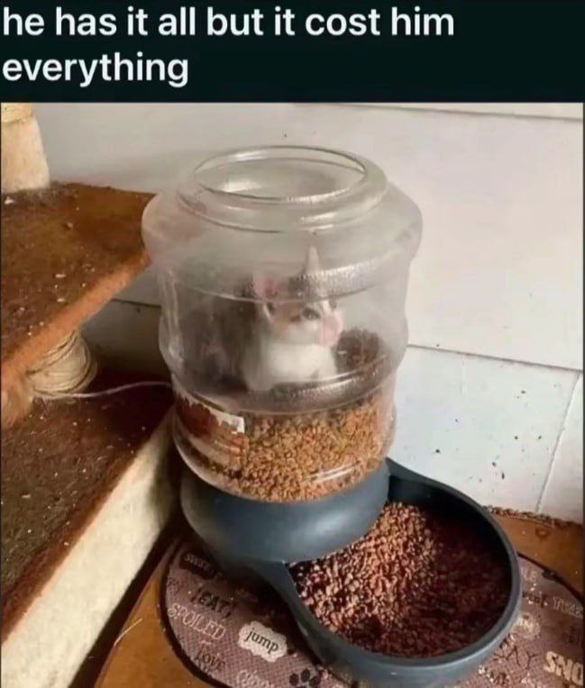 he has it all but it cost him everything