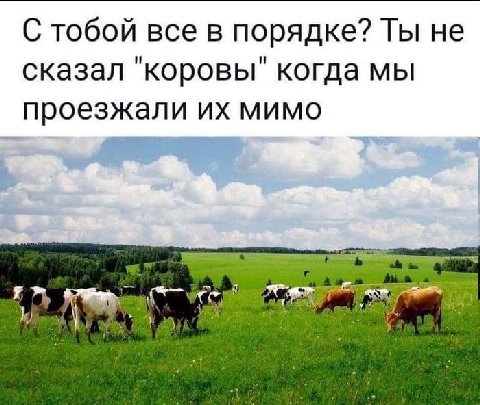 С тобой все в порядке? Ты не сказал "коровы" когда мы проезжали мимо 3