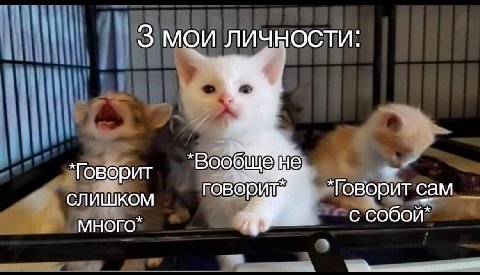 3 МОИ ЛИЧНОСТИ: СЛИШКОМ Говорит сам МНОГО” с собой