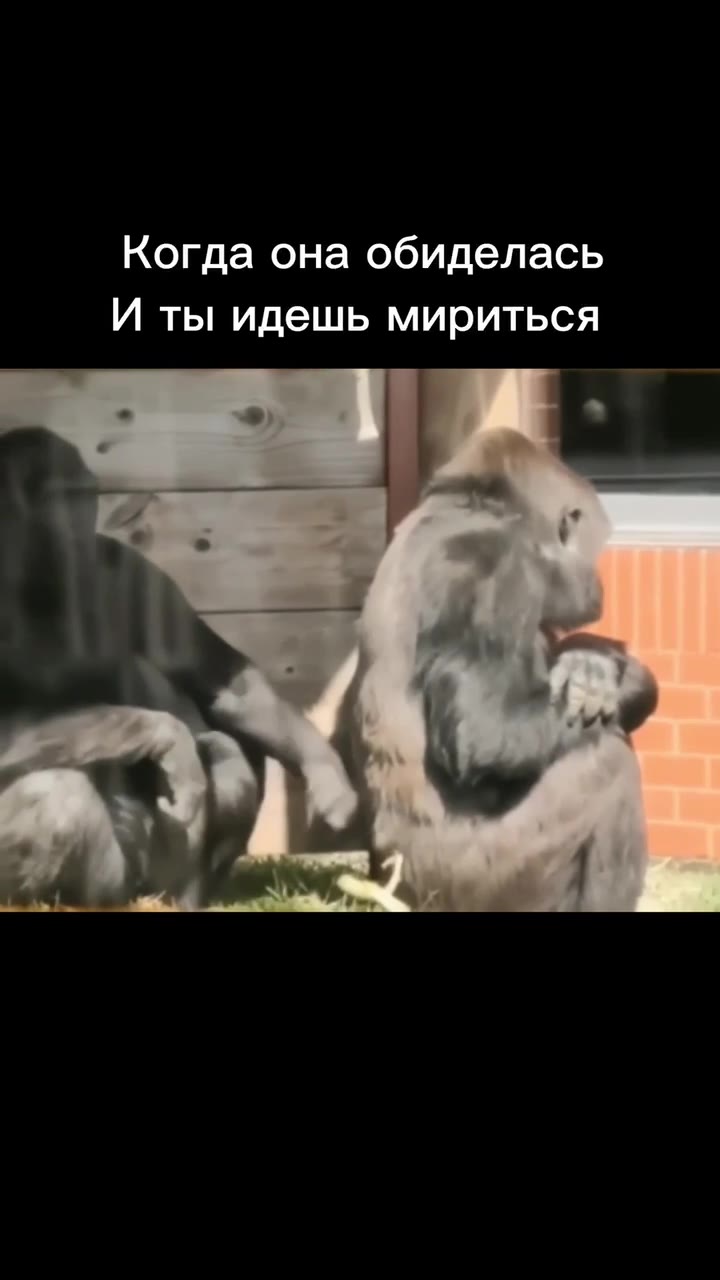 Когда она обиделась И ты идешь мириться