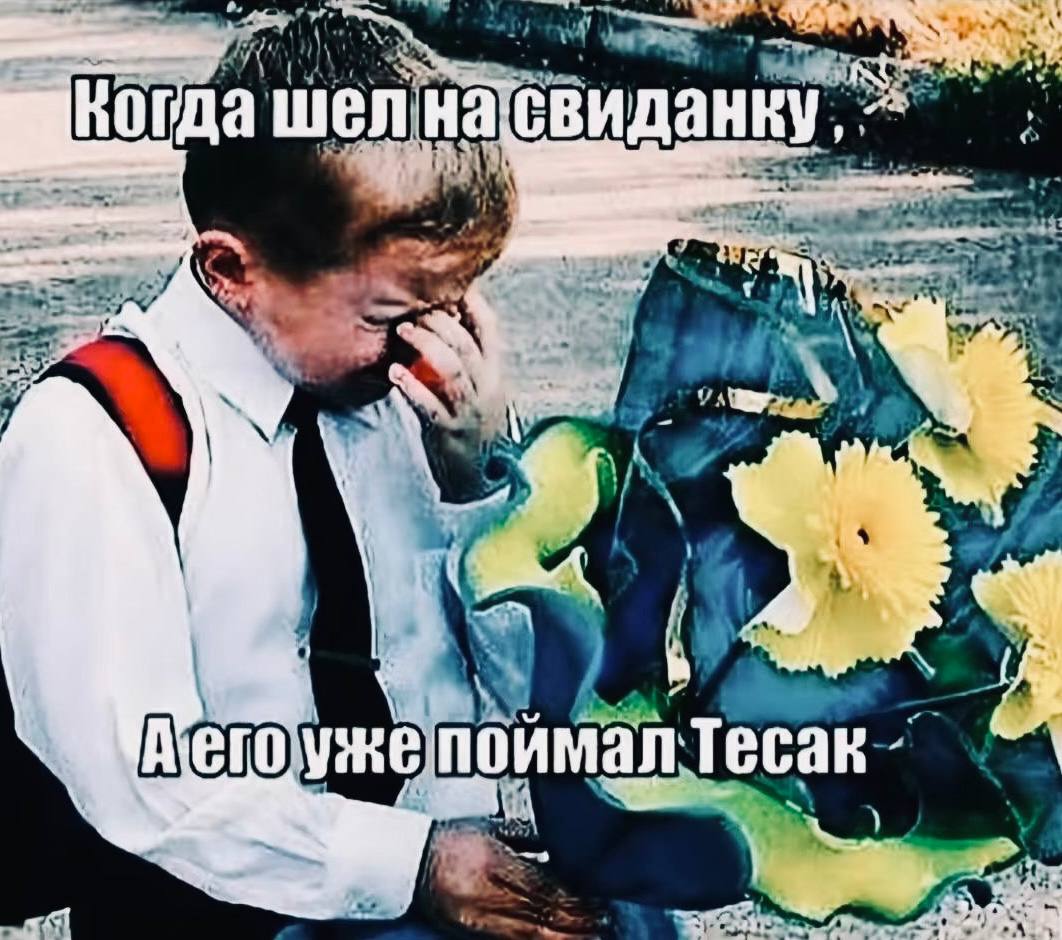 wer Когда шел свиданку, AN 4 уже поймал