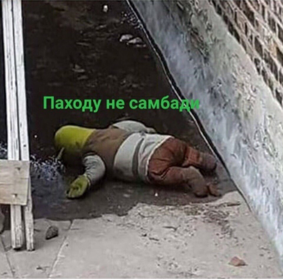 когда давно не постил пришел с утра и подписчеков 194 попостил и стало 193