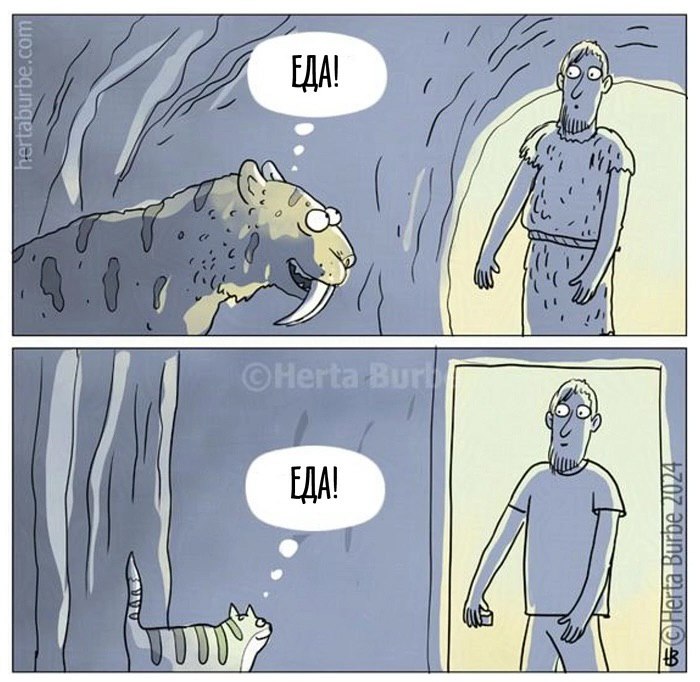 {7 И i