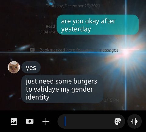 are you okay after yesterday уез just need some burgers to validaye my gender identity A