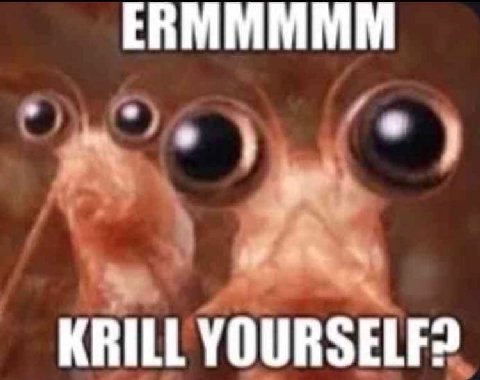 ЕВМММММ KRILL YOURSELF?