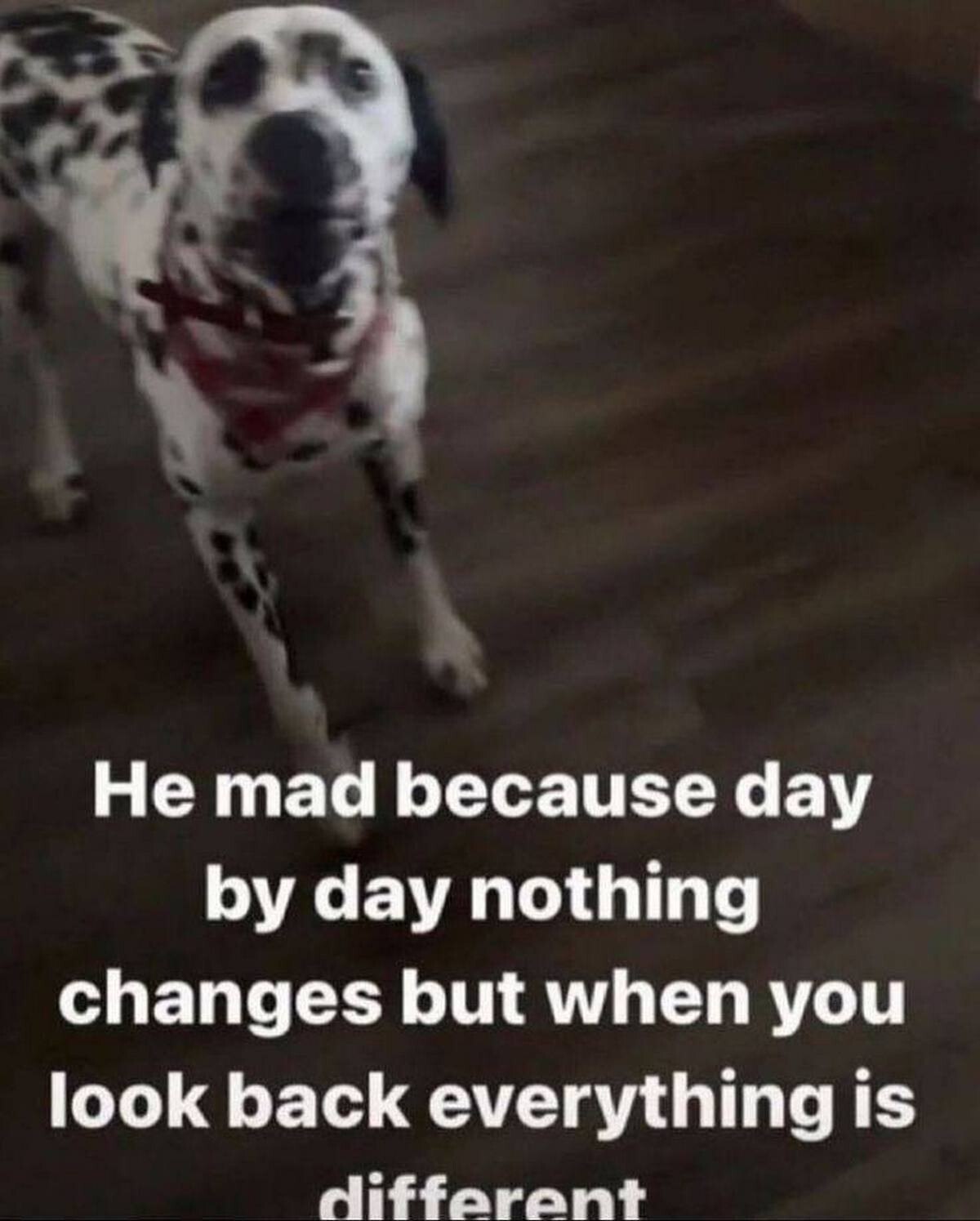 He mad because day day nothing changes but when you look back everything is differant