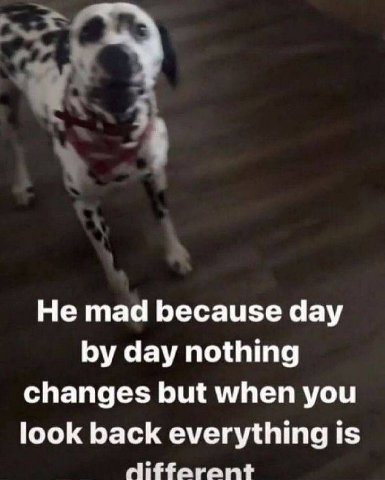 He mad because day day nothing changes but when you look back everything is differant