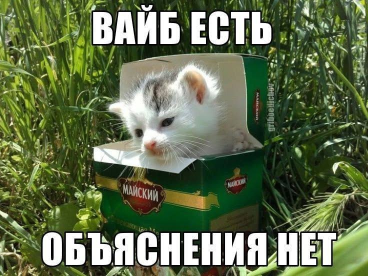 a ВАЙБ ЕСТЬ a a у on ОБЪЯСНЕНИЯ