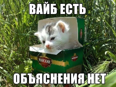 a ВАЙБ ЕСТЬ a a у on ОБЪЯСНЕНИЯ