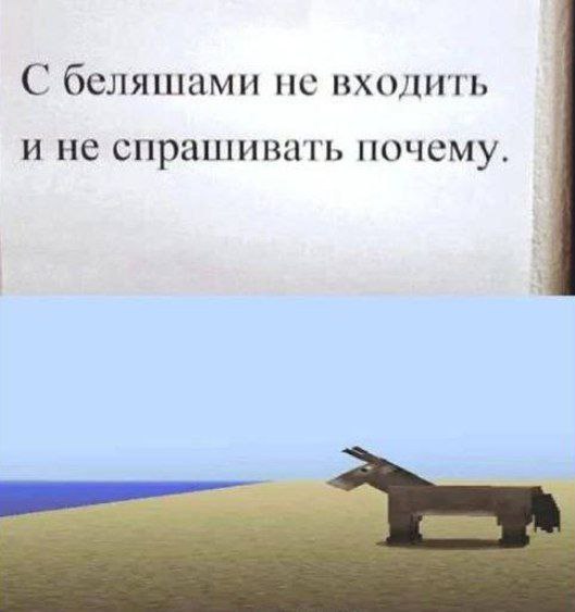 С беляшами не входить и не спрашивать почему.