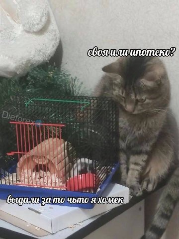 я сбоя или ипотеко 2 за то я хомек at