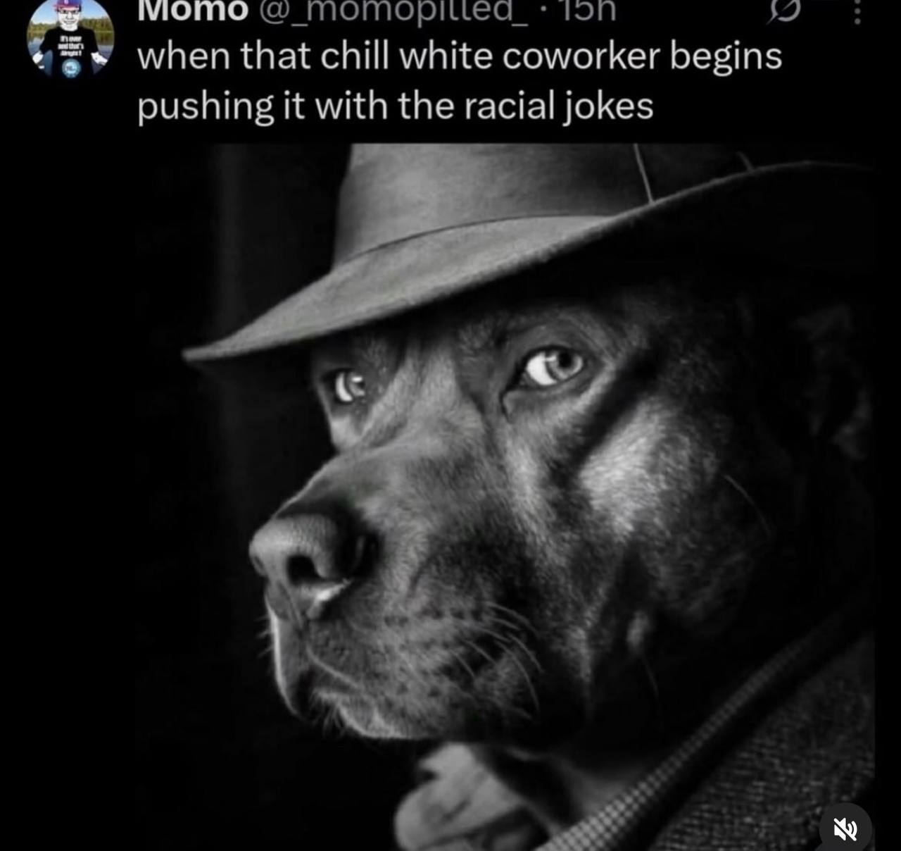 мото MOMOPILLea_ when that chill white coworker begins pushing it with the racial jokes a 4