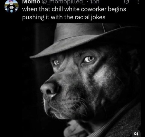 мото MOMOPILLea_ when that chill white coworker begins pushing it with the racial jokes a 4