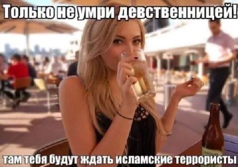 Тольконеумри девственниц там тебя ждать исламские террористы