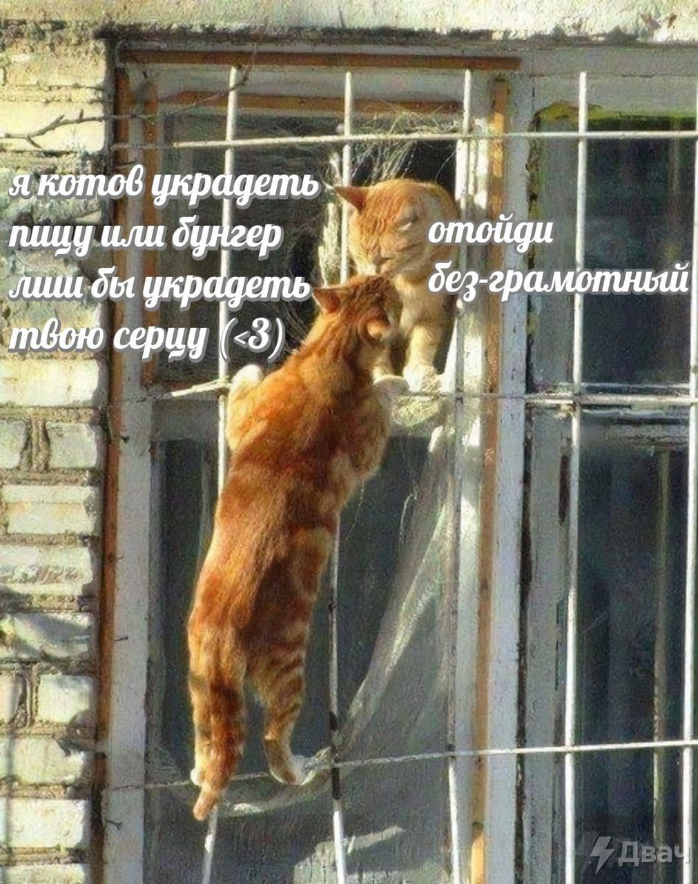 я котов yxpdgemp пицу или 9 без-грамотный лши бы украдеть 4
