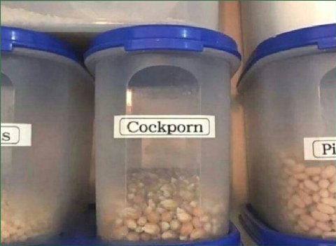 Cockporn