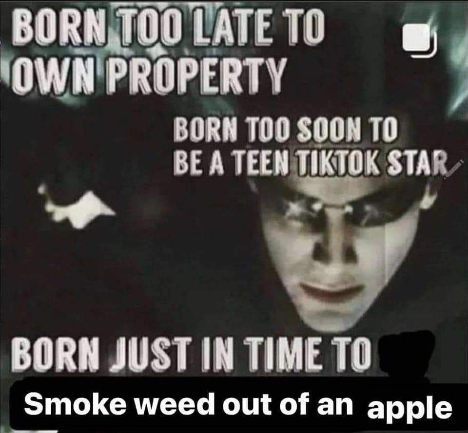 LATE ТО (OWN'PROPERTY BORN ТОО SOON ТО BE A TEEN TIKTOK STAR BORN JUST IN TIME ТО smoke weed out of an apple