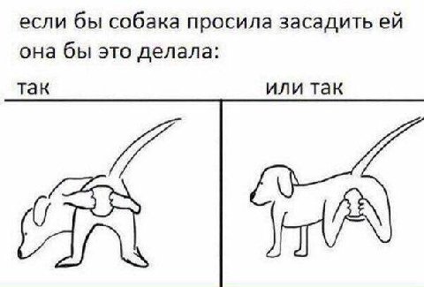 если бы собака просила засадить она бы это делала: так или так
