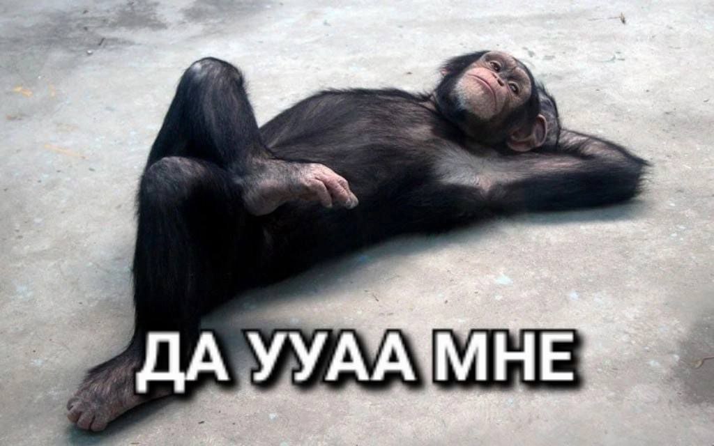 УУАА МНЕ.