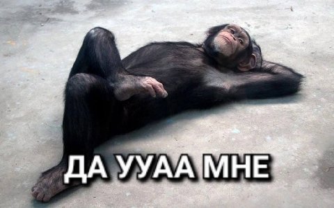 УУАА МНЕ.