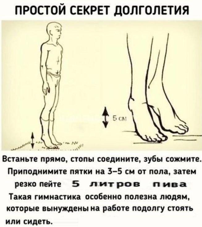 ПРОСТОЙ СЕКРЕТ ДОЛГОЛЕТИЯ Бом Встаньте прямо, стопы соедините, зубы сожмите. Приподнимите пятки на 3-5 от пола, затем резко пейте 5 лытрое пива Такая гимнастика особенно полезна людям, которые вынужде