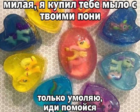 И, лая, Я купил тебе пони а только умоляю, иди помойся