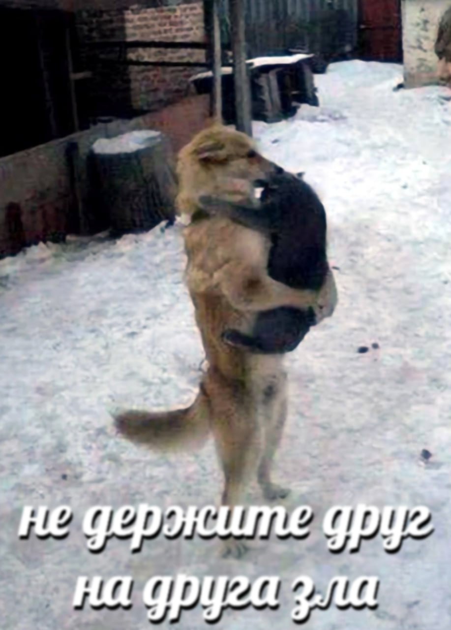не держите на друга зла