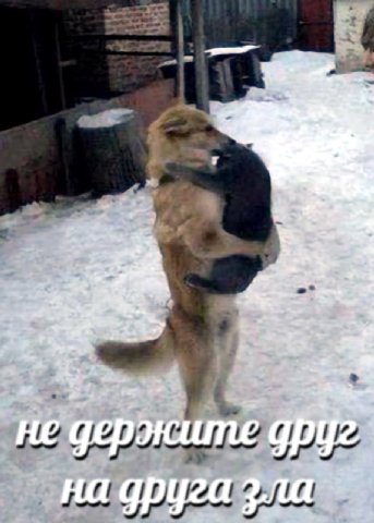 не держите на друга зла