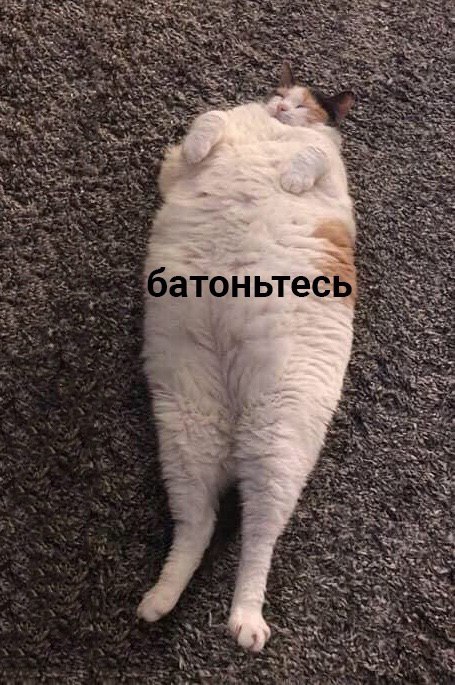 а батоньтесь 2. у. 2 5 к А 1