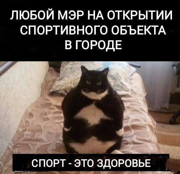 ЛЮБОЙ МЭР НА ОТКРЫТИИ СПОРТИВНОГО ОБЪЕКТА В ГОРОДЕ СПОРТ ЭТО ЗДОРОВЬЕ