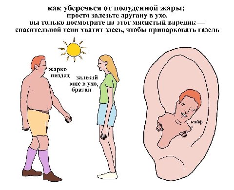 как уберечься от полуденной жары: просто залезьте другану в ухо. вы только посмотрите на этот мясистый вареник спасительной тени хватит здесь, чтобы припарковать газель жарко пиздец залезай мне в ухо,