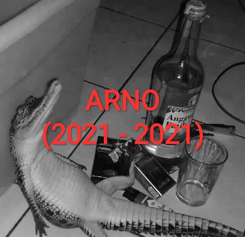 1 4 и of iN у А Ane! В i) 3 3 7 SAS 4 42