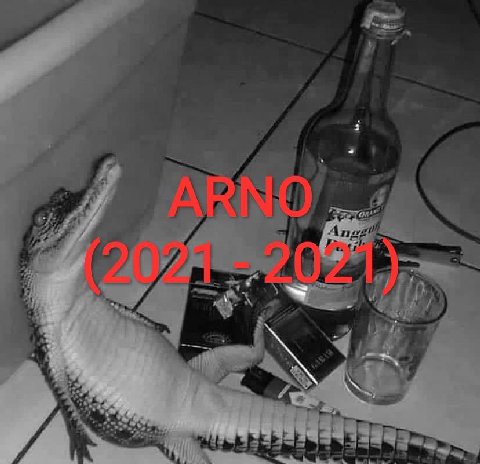 1 4 и of iN у А Ane! В i) 3 3 7 SAS 4 42