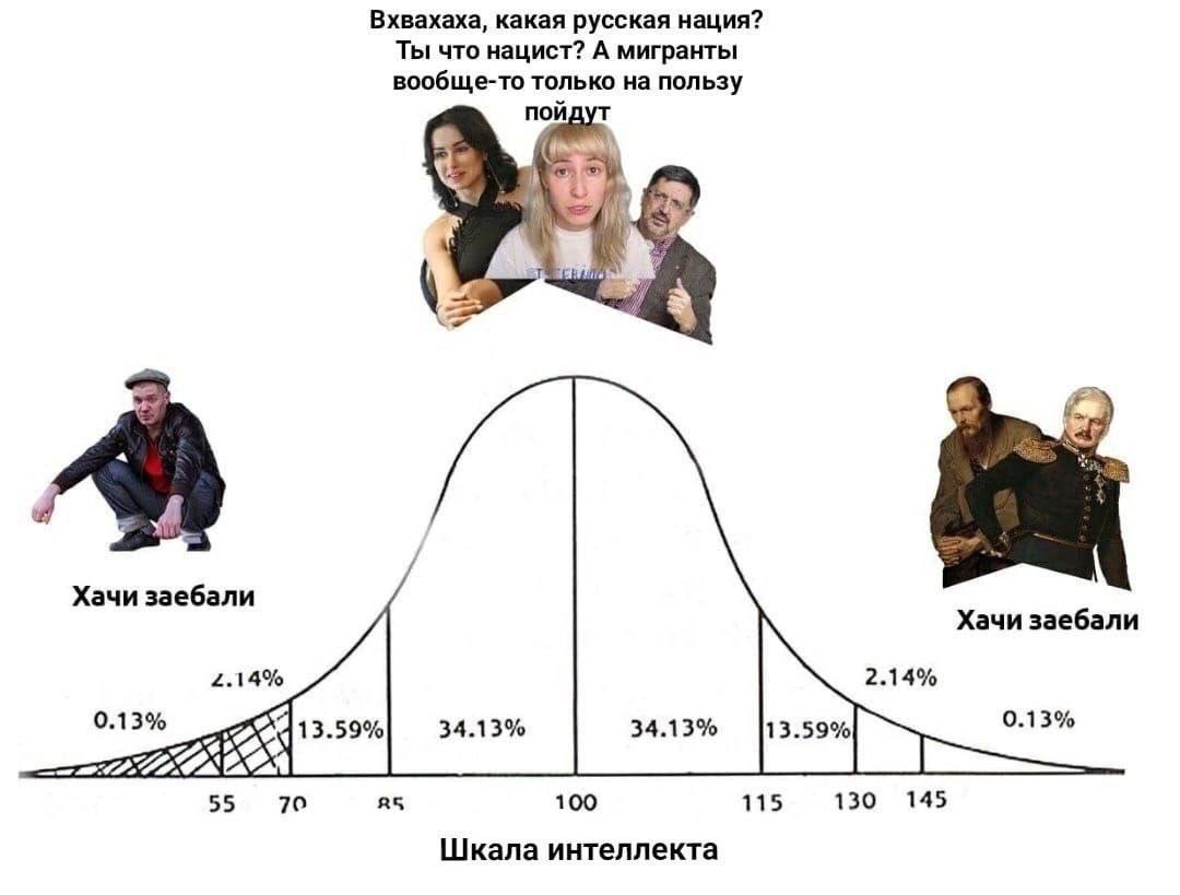 Вхвахаха, какая русская нация? Ты что нацист? А мигранты вообще-то только на пользу пойд oft. a Хачи заебали Хачи заебали 2.14% 2.14% 0.13% 34.13% 0.13% 55 70 100 115 130 145 Шкала интеллекта