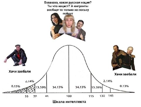 Вхвахаха, какая русская нация? Ты что нацист? А мигранты вообще-то только на пользу пойд oft. a Хачи заебали Хачи заебали 2.14% 2.14% 0.13% 34.13% 0.13% 55 70 100 115 130 145 Шкала интеллекта